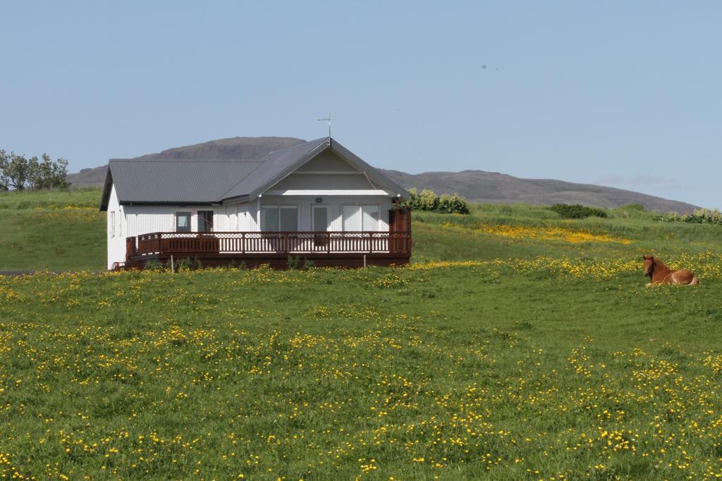 Stryta Guesthouse Hveragerdi Kültér fotó
